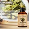 Cardamom Essential Oils 120ML, 100% Pure and Natural Essential Oil for Aromatherapy Diffuser - 4 Fl Oz/Cardamom view 4