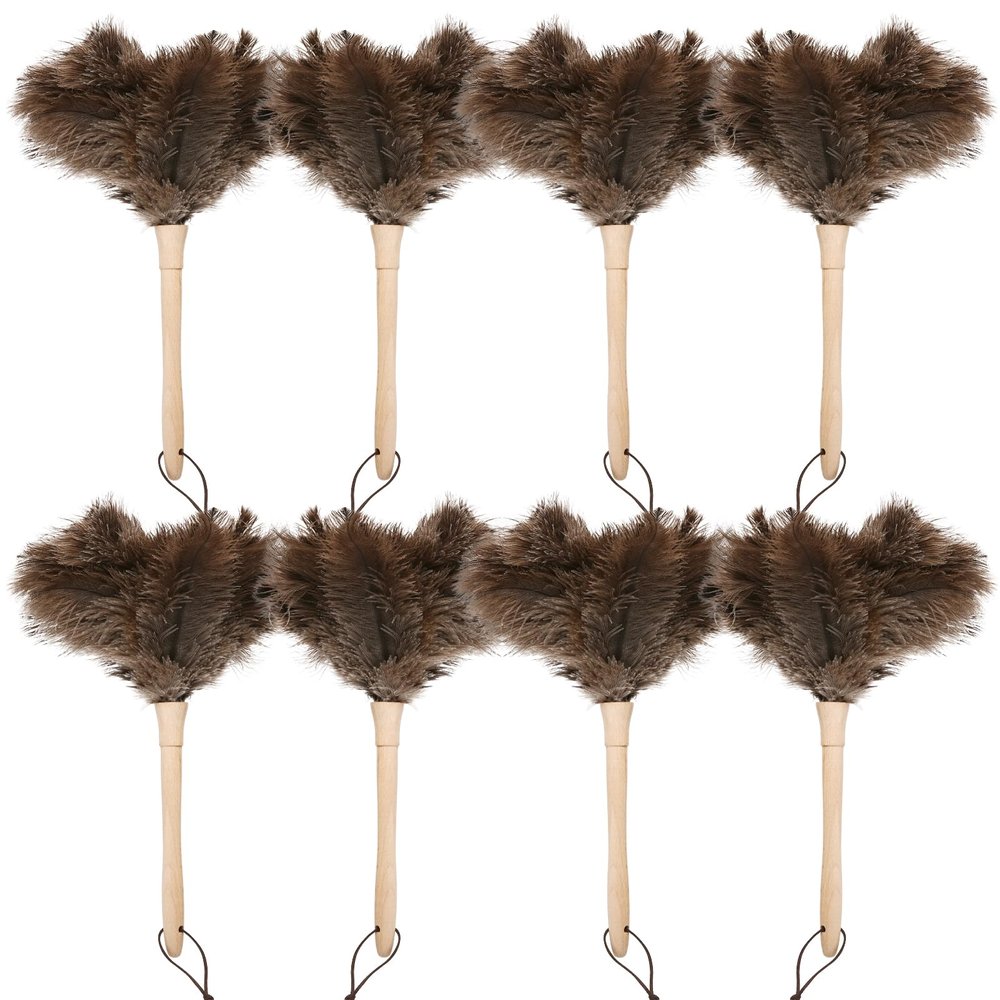 Daieeparty Ostrich Duster Fluffy Natural Feather Dusters with Wooden Handle Cleaning Supplies for Home Office Car (8, 16inch)