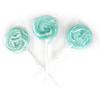 Aqua Light Blue Lollipops, 24 Pack, Blue Suckers, Blue Lollipops Individually Wrapped, Lollipop Suckers Bulk, The Hampton Popcorn & Candy Company view 4