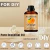 Wuvezrub Orange Essential Oils, 240ML Pure and Natural Essential Oil for Aromatherapy Diffuser - Orange /8 Fl Oz view 3