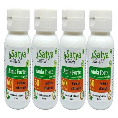 Amla Forte Capsule 60 Capsules 500 mg. | Emblica Officinalis (Amalaki) Extract Capsules (Pack of 4)