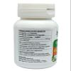 Amla Forte Capsule 60 Capsules 500 mg. | Emblica Officinalis (Amalaki) Extract Capsules (Pack of 4) view 4