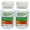 Amla Capsule 60 Capsules 500mg | Emblica Officinalis (Amalaki) Extract Capsules (Pack of 2) view 1