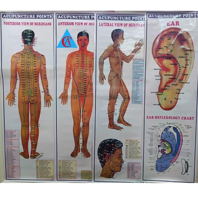 Acupuncture Points Chart Set of 4 Paper Back English Language Wall Chart Acupuncture Points Chart - Meridians Acupressure Charts