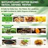 NaturePlanet Graviola Soursop Bitters Liquid Drops, 5000mg Soursop Fruit & Leaf Extract + 10 Bitters Botanicals for Immune Support Digestive Health Antioxidant Boost Vegan 2 Fl Oz view 2