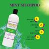 My Hair Helpers Anti Lice Prevention Shampoo, Peppermint, Neem, Rosemary, Daily Defense, Sulfate-Free, 16 Ounces, Works on 2-3 Kids view 3