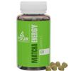 4 Your Wellness Matcha Organic Green Tea Energy Gummies, Vitamin B12, Vitamin B3, and Antioxidant CoQ10 for Natural Energy Boost, Vegan, Gluten-Free, Non-GMO and Kosher (60 Count (Pack of 1), Matcha) view 1