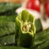Sweet Post Crispy Okra Chips Freeze Dried Vegetable Snacks, 4OZ view 4