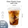 Dealusy 100 Pack - 16 oz Clear Plastic Cups with Lids, Sturdy & Food Safe Iced Coffee Cups with lids, Disposable Plastic Smoothie Cups for Cold Drinks, Sip Lids view 2