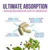 Ashwagandha Supplements - 2100mg Ashwagandha Capsule for Women & Men, Natural Antioxidant Support, Ashwa Root Extract, Extra Strength Calm Support with Black Pepper, Vegan & Gluten Free - 60 Capsules view 3