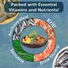 Aquatic Foods Inc. Premium Marine Fish Flakes with Seaweed, Algaes, Spirulina Marine Angels, Butterflies, Tangs Premium Marine AF Flakes - 1/2-lb view 4