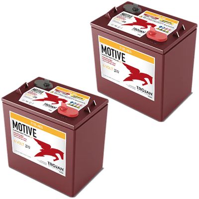 Trojan T105-AES 6V Superior Deep Cycling VRLA AGM Batteries, Maroon, Pack of 2