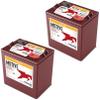 Trojan T105-AES 6V Superior Deep Cycling VRLA AGM Batteries, Maroon, Pack of 2 view 1