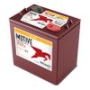 Trojan T105-AES 6V Superior Deep Cycling VRLA AGM Batteries, Maroon, Pack of 2 view 2