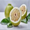 Fresh delicious Pomelo by RawJoy Farms., 4 Pound view 2