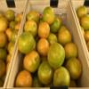 Fresh delicious Caracara Oranges by RawJoy Farms., 3 Pound view 2
