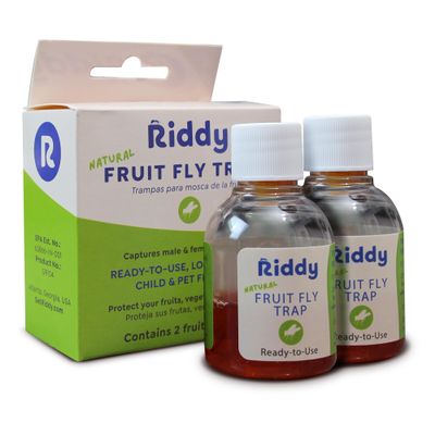 Riddy Fruit Fly Traps Non-Toxic, Ready-to-Use, Long-Lasting Solution for Fruit Flies in Kitchens and Food Preparation Areas, Pack of 2