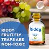 Riddy Fruit Fly Traps Non-Toxic, Ready-to-Use, Long-Lasting Solution for Fruit Flies in Kitchens and Food Preparation Areas, Pack of 2 view 3