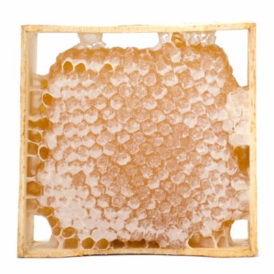 100% Natural Honeycombs Raw edible -Collected Directly from the Hive without Cutting, Filtering or Processing.- Unfiltered Wild Honeycomb - 100% Pure Turkish local Honey -Real Honey with Honeycomb - No Additives, No Preservatives (14 oz)