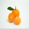 Fresh delicious Satsuma Mandarins Orange by RawJoy Farms. view 1