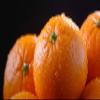 Fresh delicious Satsuma Mandarins Orange by RawJoy Farms. view 3