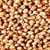 Tiger Nuts (Probiotic Fiber)16oz / 454g view 3