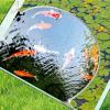 QIANQJL Aquariums Floating Plant Corral Floating Plant Fence Fish Feeding Rings for Fishtanks Househould Fishtanks Supplies view 3