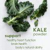 Kale Powder 8oz - for Cooking Salad Seasoning, Tea and Mix Drinks, Supports Immune System, Rich in Vitamins and Minerals view 3
