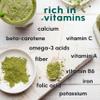 Kale Powder 8oz - for Cooking Salad Seasoning, Tea and Mix Drinks, Supports Immune System, Rich in Vitamins and Minerals view 4