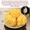 Wanhua Hall Dried Snow Fungus Whole Tremella Mushroom Chinese White Fungus Premium White Woodear Mushroom for Cooking All Natural, Vegan, Gluten-Free 3.5oz(100g)     view 2