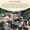 Wanhua Hall Dried Snow Fungus Whole Tremella Mushroom Chinese White Fungus Premium White Woodear Mushroom for Cooking All Natural, Vegan, Gluten-Free 3.5oz(100g)     view 4