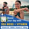 ZIPINKJ Sea Moss Drops, Irish Liquid Sea Moss Gel Supplement with Black Seed Oil, Shilajit, Elderberry, Burdock Root, Spirulina, Bladderwrack for Digestion Health, Non-GMO, 2 Fl Oz view 3