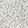 Smarty Stop Jordan Almonds Candy  Pastel Candy-Coated Almonds, Edible Confectionery Snack (White - Pastel Colors, 1 Pound (Pack of 1)) view 1