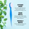 Bulk Toothbrushes - Prepasted Mini Disposable Toothbrush Set (36 Pack - Medium, Individually Wrapped for Travel) view 3