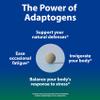 Sun Chlorella Sun Ukogi Eleuthero Root 200 mg Siberian Ginseng Supplement - Natural Adaptogen Well Being & Endurance Supplement for Women & Men - Non-GMO - 240 Tablets view 2