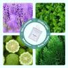 Double Mint,3 Packs,to Help Break Bad Habits Naturally | 12 Cores Total view 3