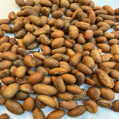 NineLife Basics African Fresh Organic Bitter Kola nuts (Garcinia Kola from west Africa) 1LB