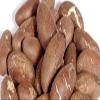 NineLife Basics African Fresh Organic Bitter Kola nuts (Garcinia Kola from west Africa) 1LB view 3