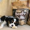 Frankly Pet Original Beefy Puffs - Beef Flavored Puffs - Protein packed, Ingredients Sourced and Manufactured in The U.S.A. view 3
