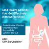 Probiotics 20X Lab4 Strains for Digestive, Gut & Immune Health, Pro Formula for Men & Women, Probiotic Capsules Support Diarrhea, Bloating and Gas, Shelf Stable, Vegan, Gluten Free, 60 Days Supply view 4
