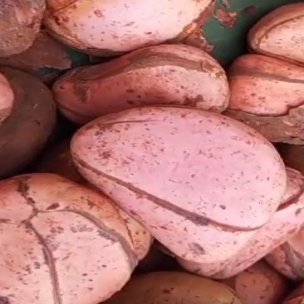 African Red Traditional Kola nuts, 3, 4,5,6 & 7 Lobes- Kola nuts, Oji Igbo, Cola Acuminata Kola Nuts, Kolanut, 4 oz/ 110 gram 