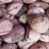 African Red Traditional Kola nuts, 3, 4,5,6 & 7 Lobes- Kola nuts, Oji Igbo, Cola Acuminata Kola Nuts, Kolanut, 4 oz/ 110 gram  view 2