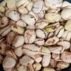 African Kola nuts, Kola nut White Obi, Cola Nitida, Kolanut, 2 lobe kola nut, Cola nut.- 10 oz/ 280gram view 2