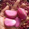African Red Kola nut, Red Obi Abata Kolanuts, Obi, Cola Nitida, Kolanut, 2 lobe kola nut, Cola nut.- 10 oz/ 280 grams view 1
