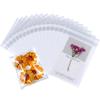 PigPotParty Cookie Bags 5''x 7", 100 Pcs Self Sealing Cellophane Treat Bags, Clear Plastic Gift Bags for Goodie, Snack, Party Favor, Candy, Cards, Envelopes view 1