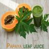 Papaya Leaf Powder Papita Leaf | Pappali Ilai | Carica Papaya - 50 gm view 2