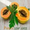 Papaya Leaf Powder Papita Leaf | Pappali Ilai | Carica Papaya - 50 gm view 3