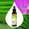 Plant Therapy Nature Shield Spray 4 oz, DEET-Free Outdoor Essential, with Skin-Soothing Aloe & Hydrosols, Refreshing Citronella, Lemongrass & Geranium view 4
