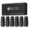 Airversa Top 6 Aromatherapy Oils Set-6 Packs, 10mL (Eucalyptus, Lavender, Lemon Grass, Sweet Orange, Peppermint, Tea Tree) - 0.34 Fl.Oz x 6 view 1