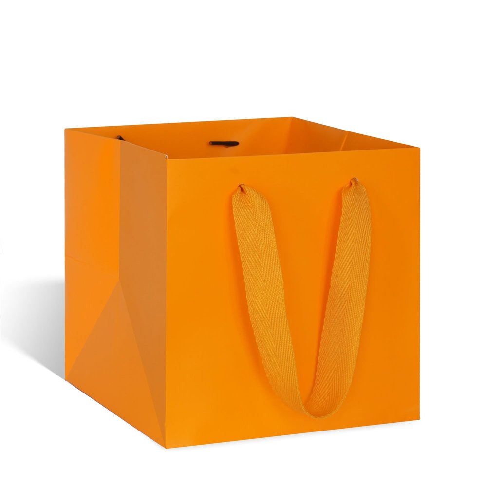 ADIDO EVA Orange Square Gift Bags Small Size Square Bottom Paper Bags with Handles for Party Favor, Shopping Bag (8x8x8 In, 10 CT)